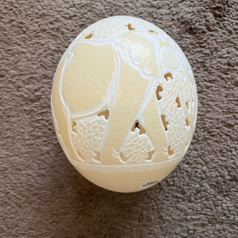 Real ostrich egg from South Africa